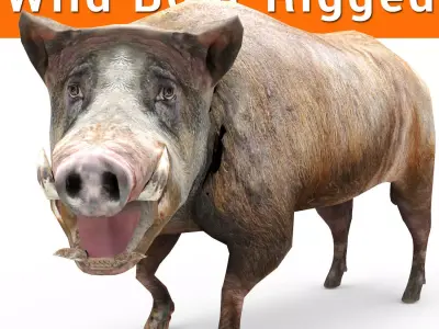 3D low poly Wild Boar Rigged Low-poly 3D model
