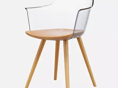 Modern Transparent Armchair with Wooden Base Low-poly 3D model