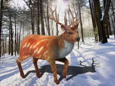 Fur Rigged Deer Stag Low-poly 3D model