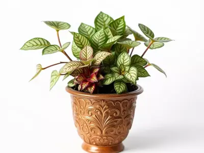 Ornate Copper Plant model pack Low-poly 3D model