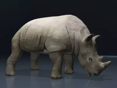 Rhino Low-poly 3D model