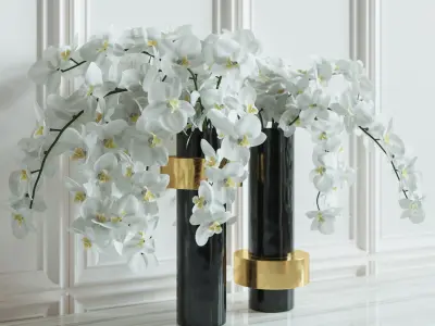 Flower Set 009 Orchids 3D model