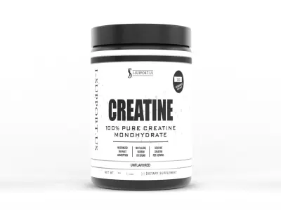 Protein Powder 3D model 46