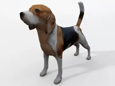 Beagle Dog Low-poly 3D model