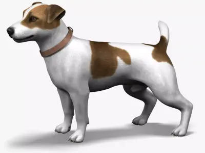 Dog  Jack Russell Terrier  Fur Low-poly 3D model