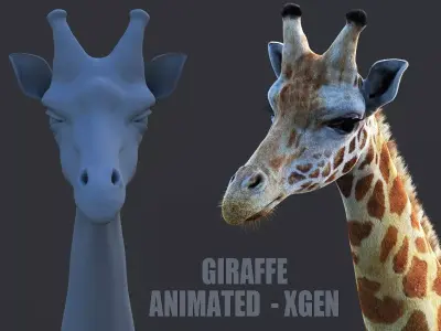 Giraffe XGEN CORE ANIMATED 3D model