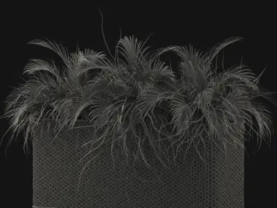 Plants collection 463 3D model