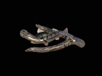 PERCH UNDERWATER STATUE ON THE WALL DETAILED TEXTURE 3D print model