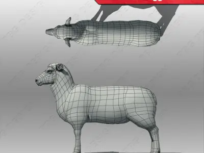 Sheep rigged 3D model