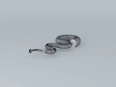 snake Free 3D model