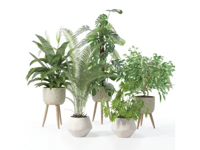 Plants collection 121 3D model