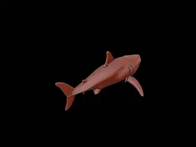 Shark Animal Sculpture 3D print model buy
