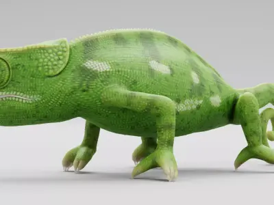 -Flap Necked Chameleon - Chamaeleo Dilepis Rigged- 3D model