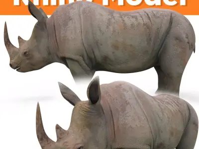 Rhino 3D Models game ready  Low-poly 3D model
