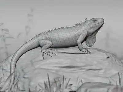 Realistic Iguana Game ready 3D model on rock in forest Low-poly 3D model