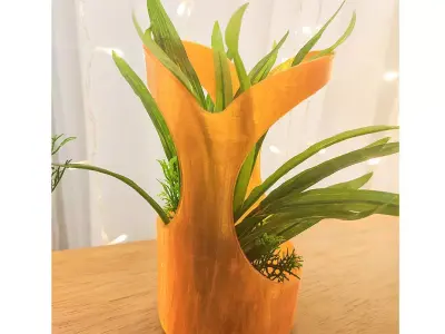 Decorative Modern Vase 3D print model