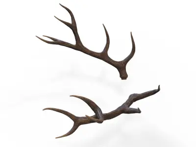 Deer Horns Low-poly 3D model