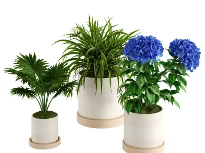 Sketchbook Ceramic Intdoor Planters 3D model