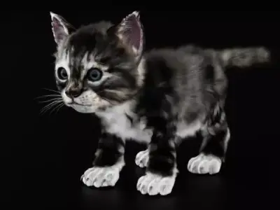 Kitten Cute 3D model