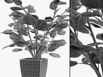 Realistic Plant Garden 3D model