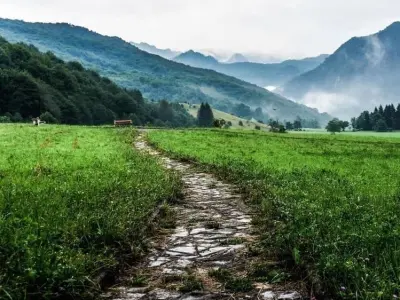 candlelit dinner Free 3D model