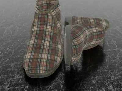 REINO TOSSUT SLIPPER 3D 3D model