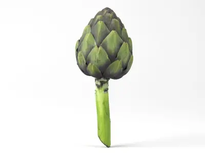 Photorealistic Artichoke 3D Scan 3D model