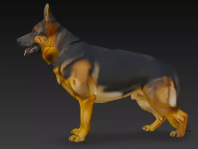 German Shepherd Dog 3d Model 3D model