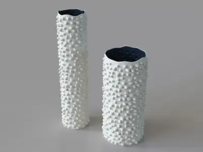 Ciji Vases Set 2 White 3D model