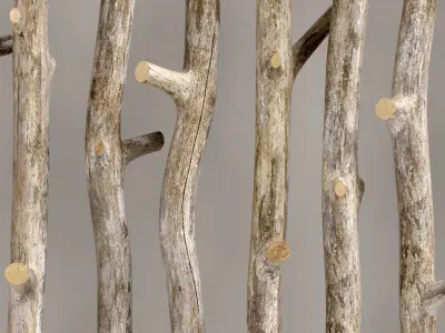 Planter thick sang branch crooked 3D model