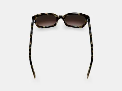 Aubrey Sunglasses in Marzipan Tortoise 3D model