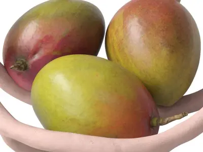 Nested bowl with mango 3D model
