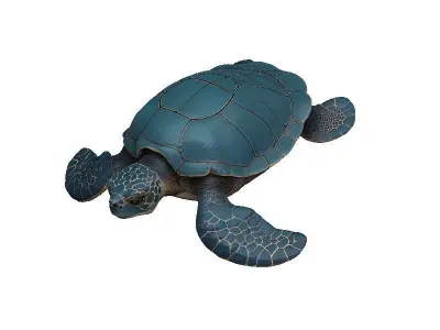 Sea Turtle Low-poly 3D model