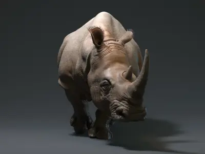 Rhino Low-poly 3D model buy