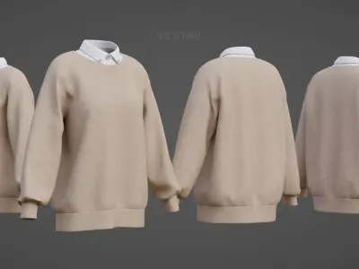 Sweater  and Collared Shirt - Knit Pullover wear formal clothing 3D model