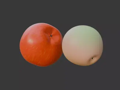 two apples of different varieties red and white 3D model