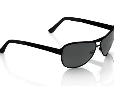 Eyeglasses for Men and Women 3D print model