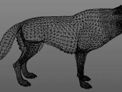 the wolf 13 animated Low-poly 3D model