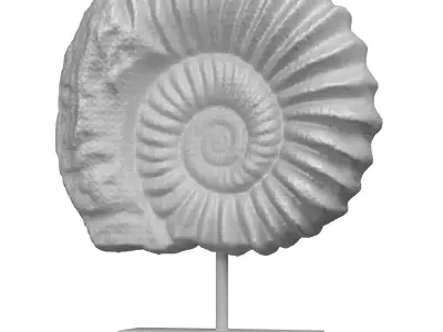 Nautilus Shell Sculpture Ammonite Mounted Nautilus Statuette 3D model