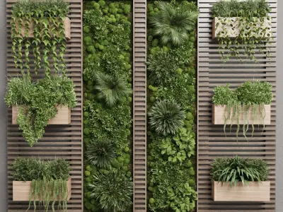 plants set partition in wooden frame - Vertical moss graden 3D model