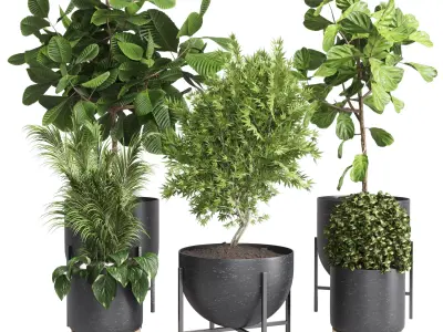 collection Indoor plant 32-marble vase Low-poly 3D model