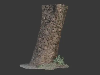 Realistic 3D Scanned Tree Trunk with Moss  Low-poly 3D model