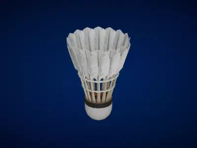 Shuttlecock 3D model