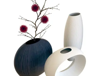 Crate and Barrel Alura Vases 3D model