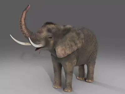 Fur Elephant Rigged in Blender  Zbrush Low-poly 3D model