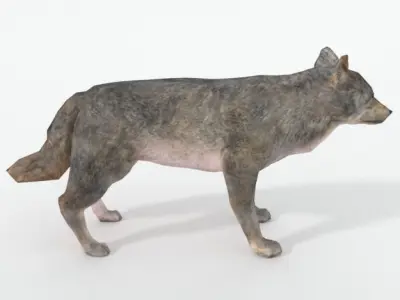 Wolf Animal Low-poly 3D model purchase
