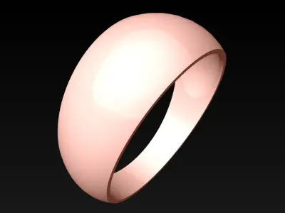 Ring SN650 Free 3D print model