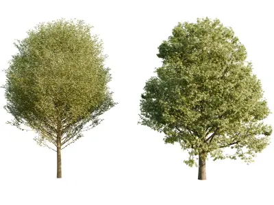 Free Tree pack Free low-poly 3D model