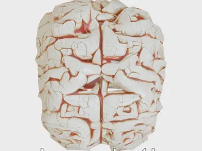 Futuristic Mechanical Brain Model Low-poly 3D model