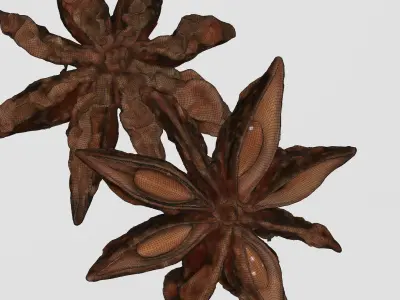 POLYPASTA - Star anice 01 3D model